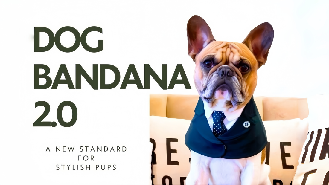 Dog Bandana 2.0: A New Standard for Stylish Pups