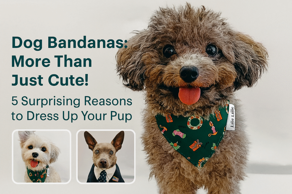 Dog Bandanas Aren’t Just Cute: 5 Real Reasons to Try One