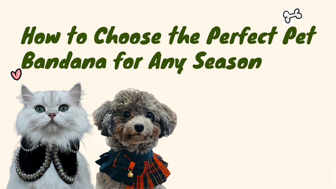 How to Choose the Perfect Pet Bandana for Any Season