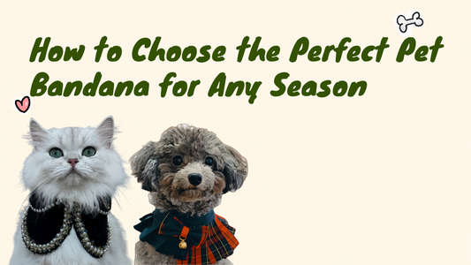 How to Choose the Perfect Pet Bandana for Any Season