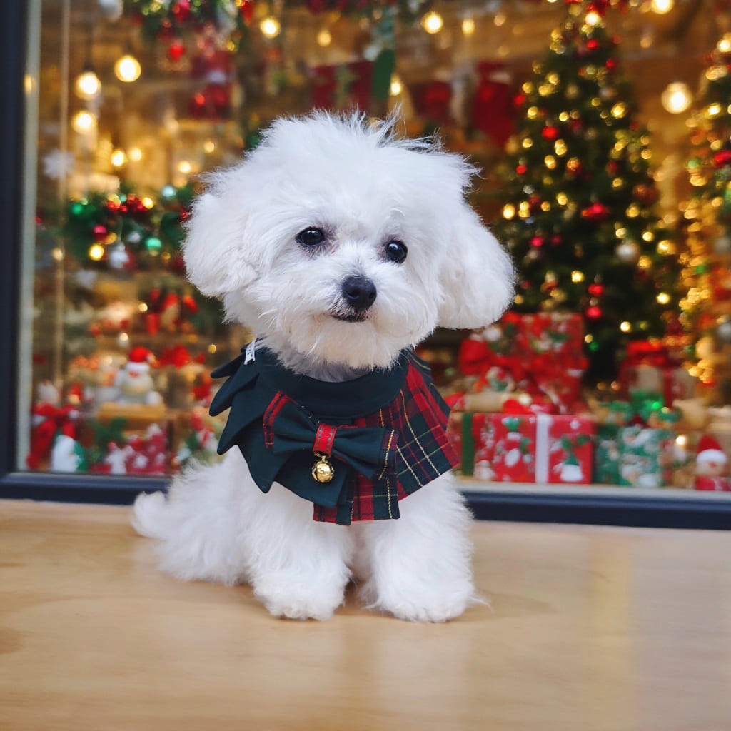 Noelle Red & Green Plaid Dog Dress | Christmas Holiday Style Luko Luko Noelle Red & Green Plaid Dog Dress | Christmas Holiday Style Luko Luko