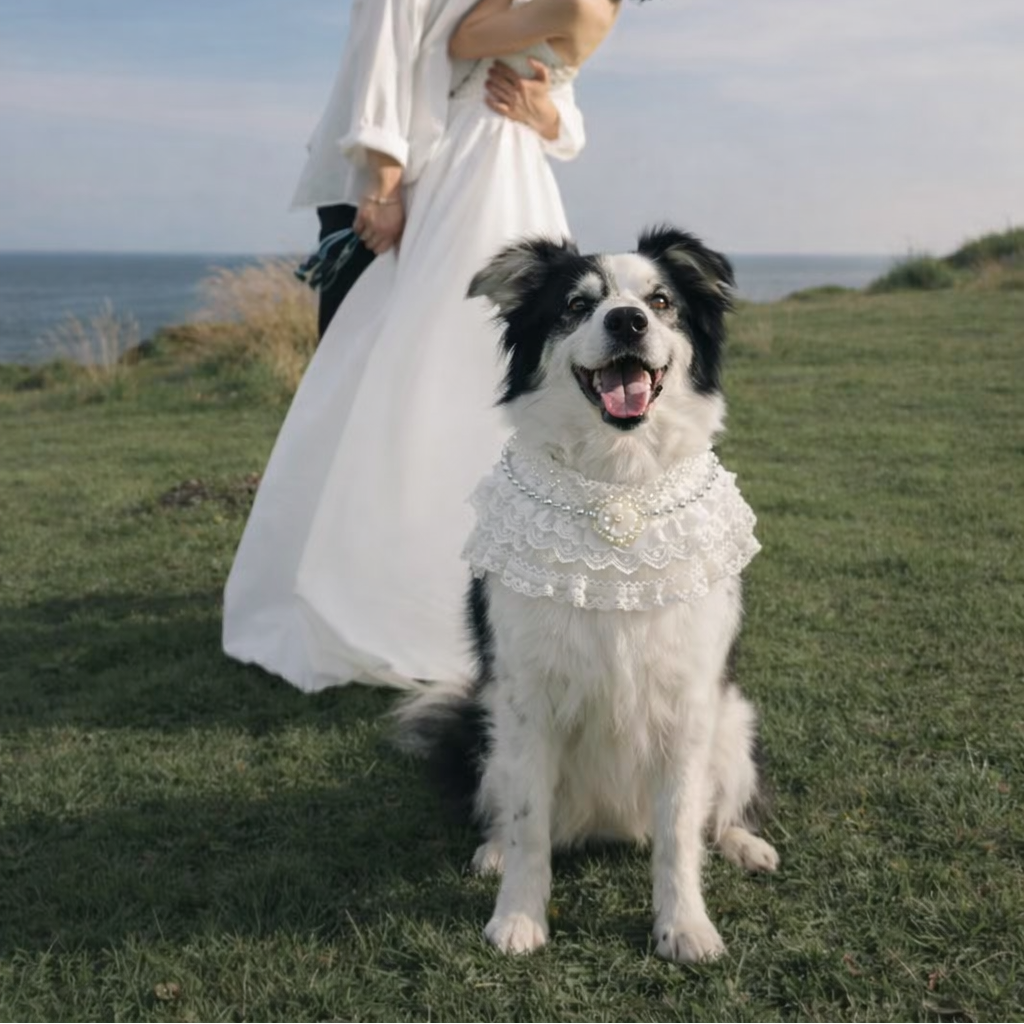 Juliette – Lace Dog Dress | Elegant Formal Style