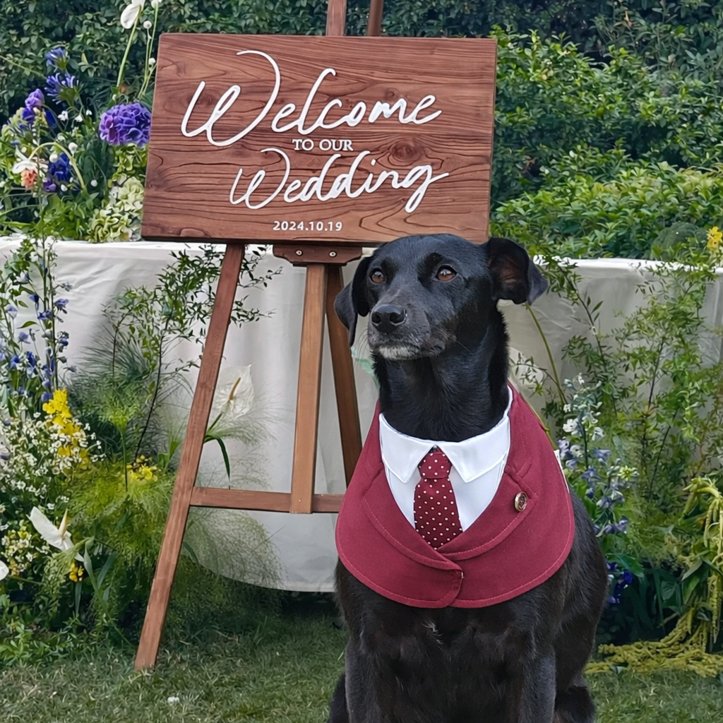 Windsor – Burgundy & Green Dog Suit | Elegant Outfit