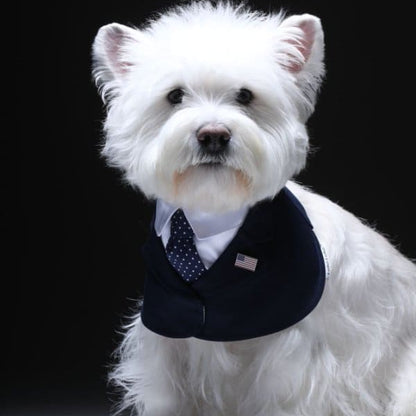 President – Red & Blue Tie Dog Suit | Formal Style