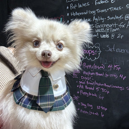 Emma – Schoolgirl Dog Outfit | Adorable Pet Uniform