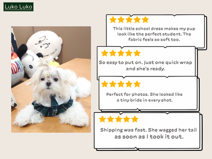 Emma – Schoolgirl Dog Outfit | Adorable Pet Uniform