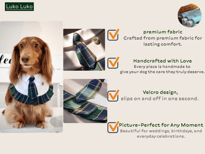 Emma – Schoolgirl Dog Outfit | Adorable Pet Uniform