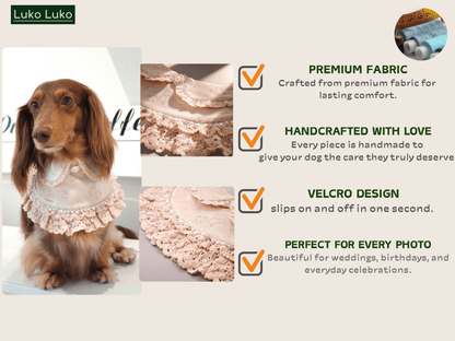 Ella –  Pink Lace Dress for Pets | Soft, Elegant, Comfortable