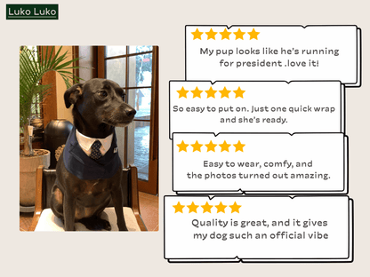 President – Red & Blue Tie Dog Suit | Formal Style