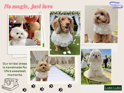 Juliette – Lace Dog Dress | Elegant Formal Style