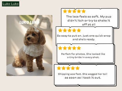 Juliette – Lace Dog Dress | Elegant Formal Style