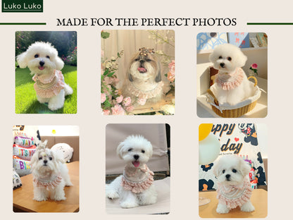 Ella –  Pink Lace Dress for Pets | Soft, Elegant, Comfortable