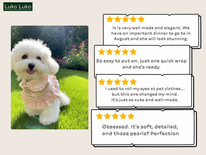 Ella –  Pink Lace Dress for Pets | Soft, Elegant, Comfortable