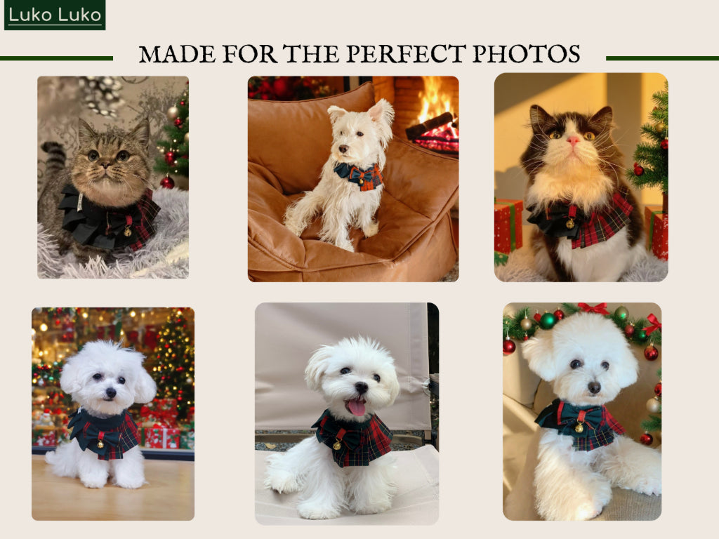 Noelle – Red & Green Plaid Dog Dress | Christmas Holiday Style