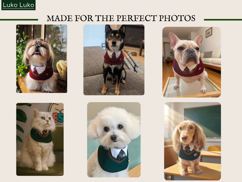 Ivy – Red & Green Preppy Dog Bandana | Stylish Occasion Wear