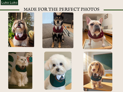 Ivy – Red & Green Preppy Dog Bandana | Stylish Occasion Wear