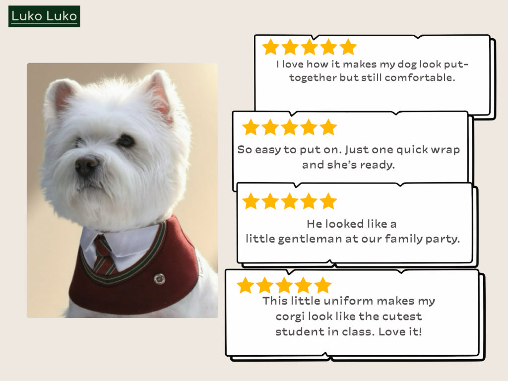 Ivy – Red & Green Preppy Dog Bandana | Stylish Occasion Wear