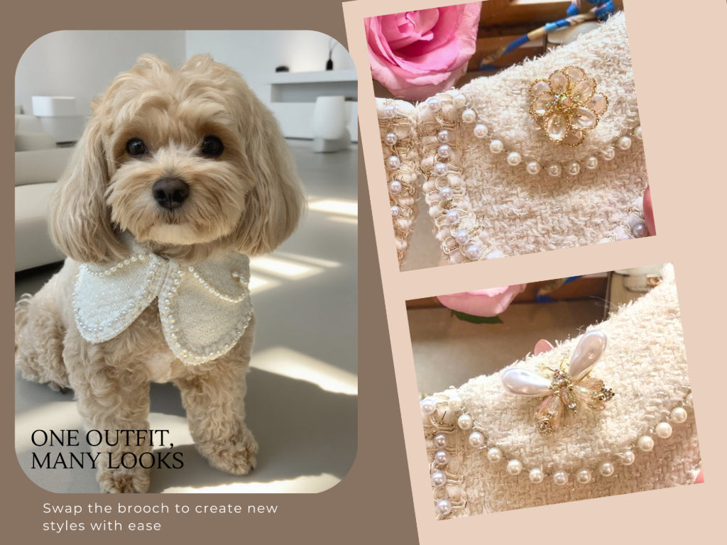 Jacqueline – Black & White Pearl Dog Jacket | Chic Formal Look