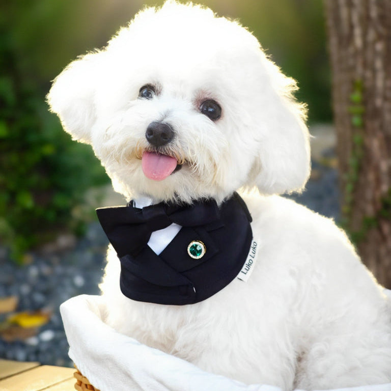 Oxford – Bowtie Suit for Dogs  | Elegant Formal Pet Outfit