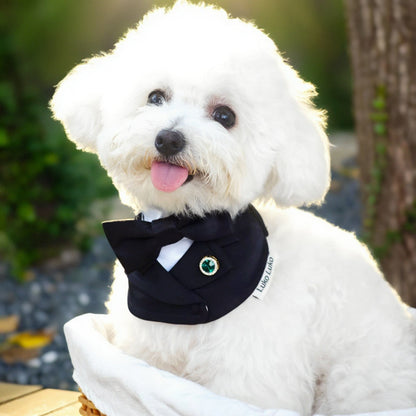Oxford – Bowtie Suit for Dogs  | Elegant Formal Pet Outfit