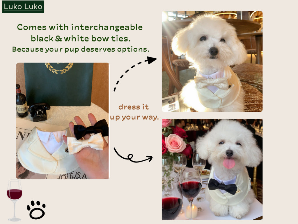 Oxford – Bowtie Suit for Dogs  | Elegant Formal Pet Outfit