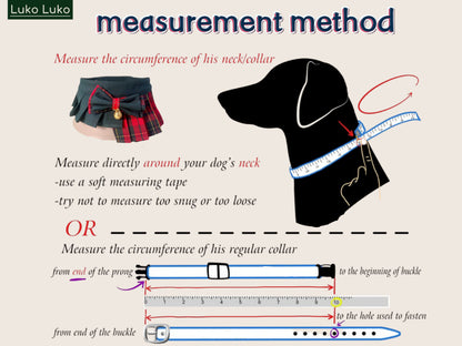 Windsor – Burgundy & Green Dog Suit | Elegant Outfit