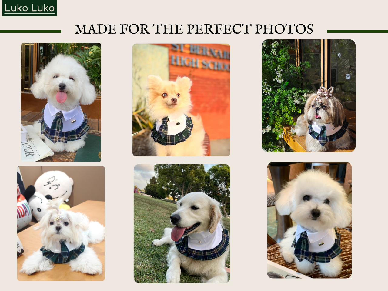 Emma – Schoolgirl Dog Outfit | Adorable Pet Uniform