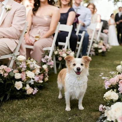 Juliette – Lace Dog Dress | Elegant Formal Style