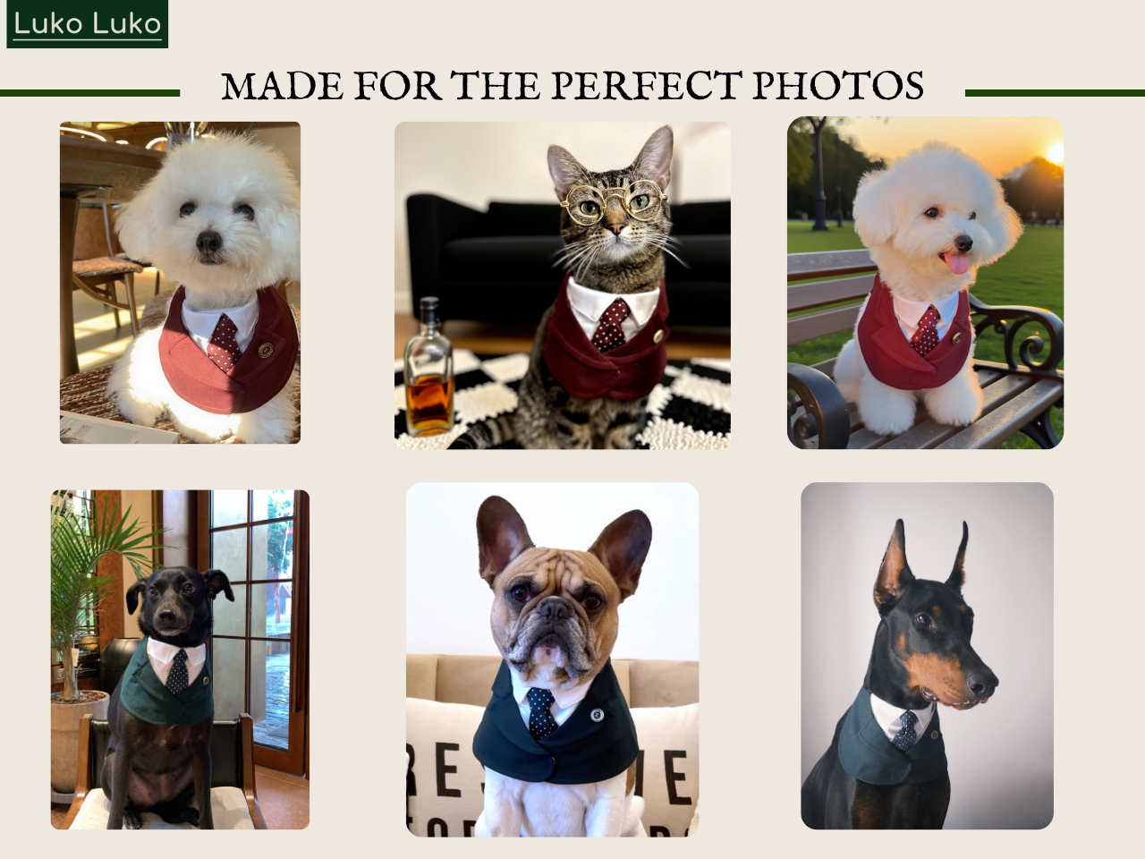 Windsor – Burgundy & Green Dog Suit | Elegant Outfit