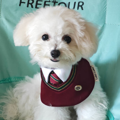 Ivy – Red & Green Preppy Dog Bandana | Stylish Occasion Wear