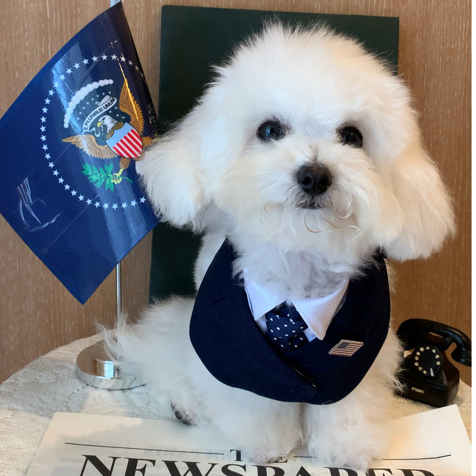 President – Red & Blue Tie Dog Suit | Formal Style