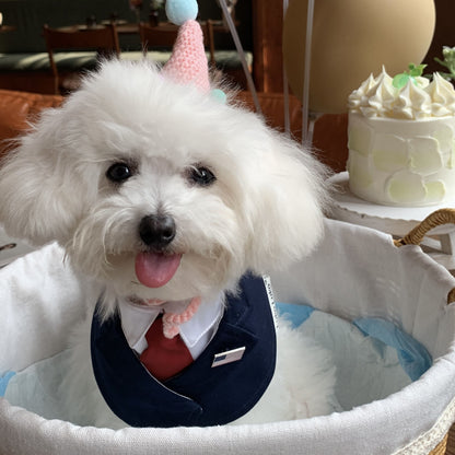 President – Red & Blue Tie Dog Suit | Formal Style