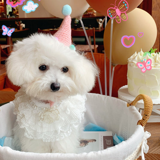 Juliette – Lace Dog Dress | Elegant Formal Style