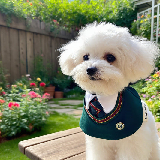 Ivy – Red & Green Preppy Dog Bandana | Stylish Occasion Wear