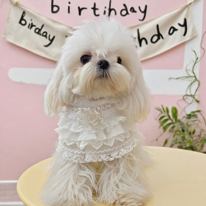 Juliette – Lace Dog Dress | Elegant Formal Style