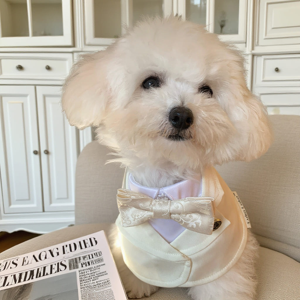 Oxford – Bowtie Suit for Dogs  | Elegant Formal Pet Outfit