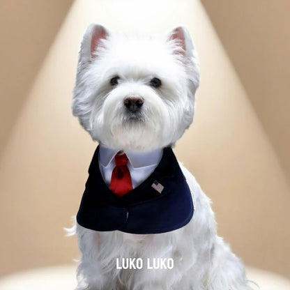 President – Red & Blue Tie Dog Suit | Formal Style