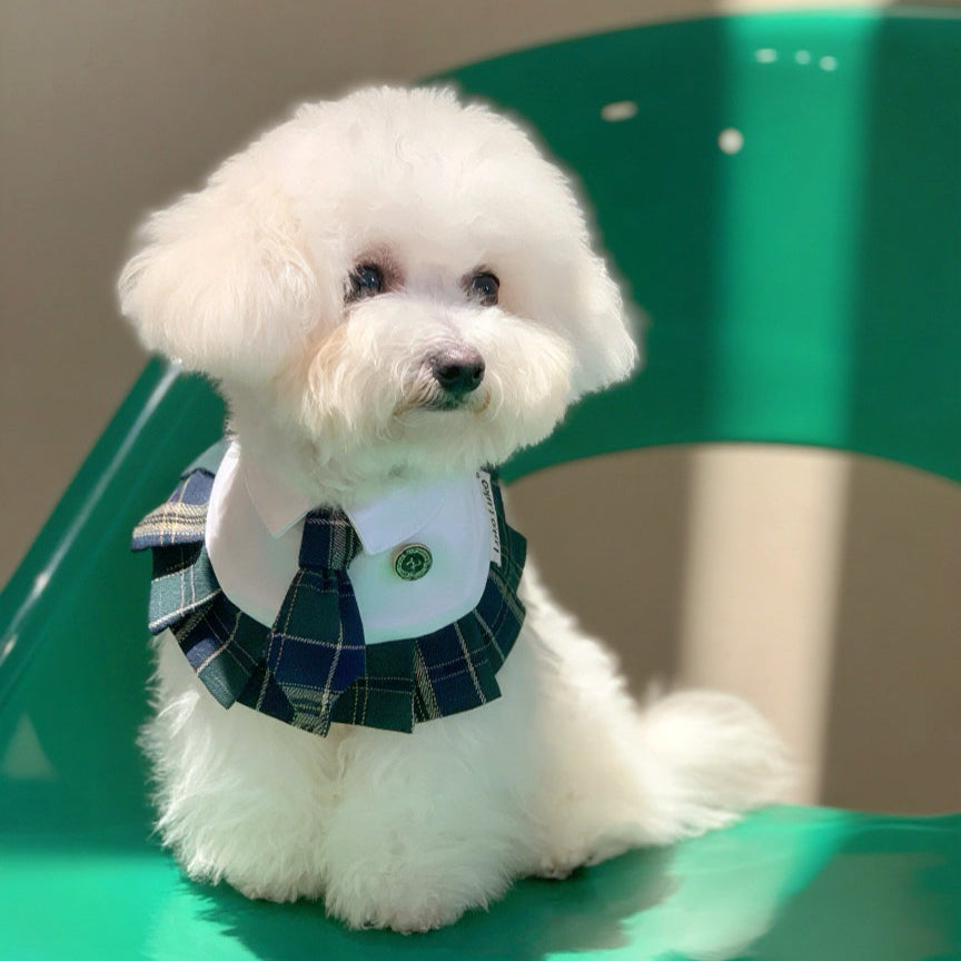 Emma – Schoolgirl Dog Outfit | Adorable Pet Uniform