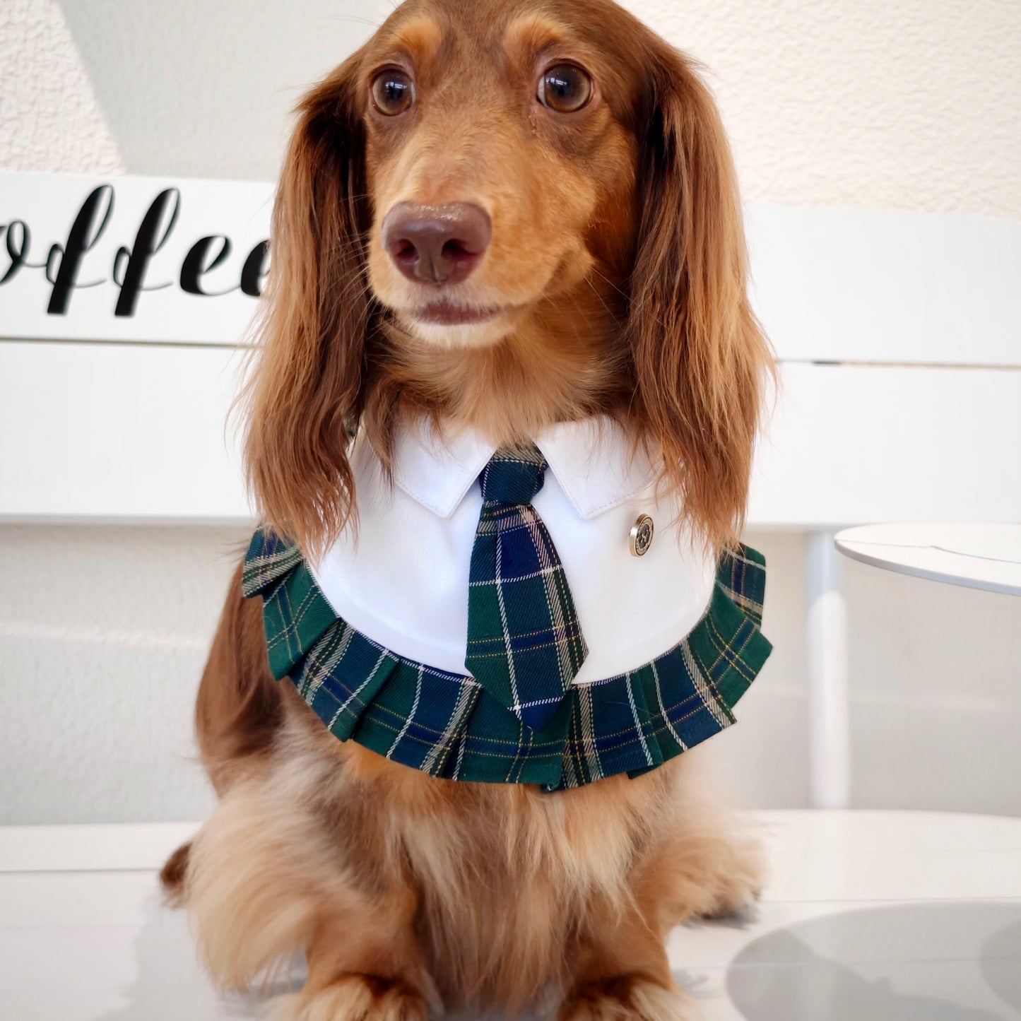 Emma – Schoolgirl Dog Outfit | Adorable Pet Uniform