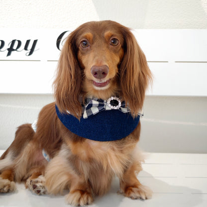 Jessie - Denim Bow Dog Cape | Western Charm & Stylish Design