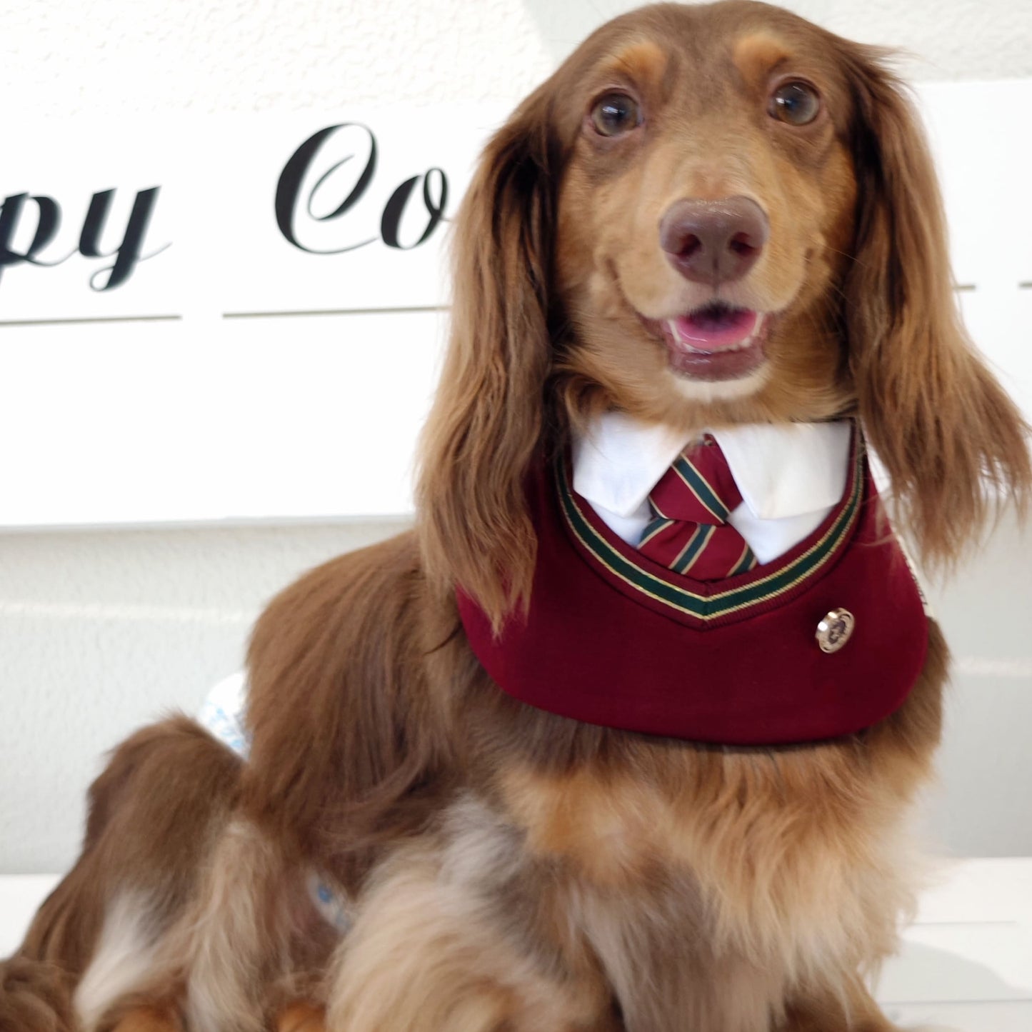 Ivy – Red & Green Preppy Dog Bandana | Stylish Occasion Wear