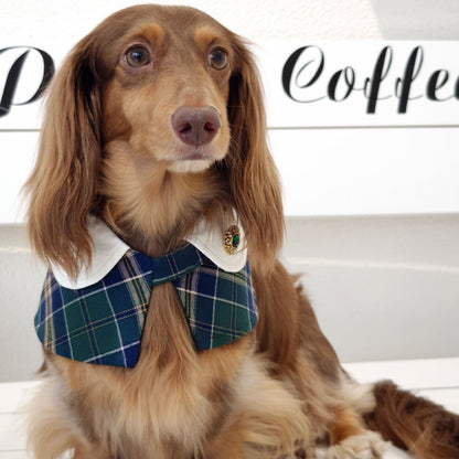 Evelyn - Green Plaid Dog Cape | Classic Elegance & Versatile Charm