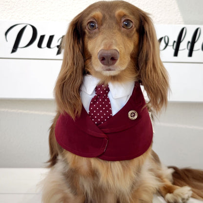 Windsor – Burgundy & Green Dog Suit | Elegant Outfit