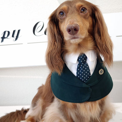 Windsor – Burgundy & Green Dog Suit | Elegant Outfit