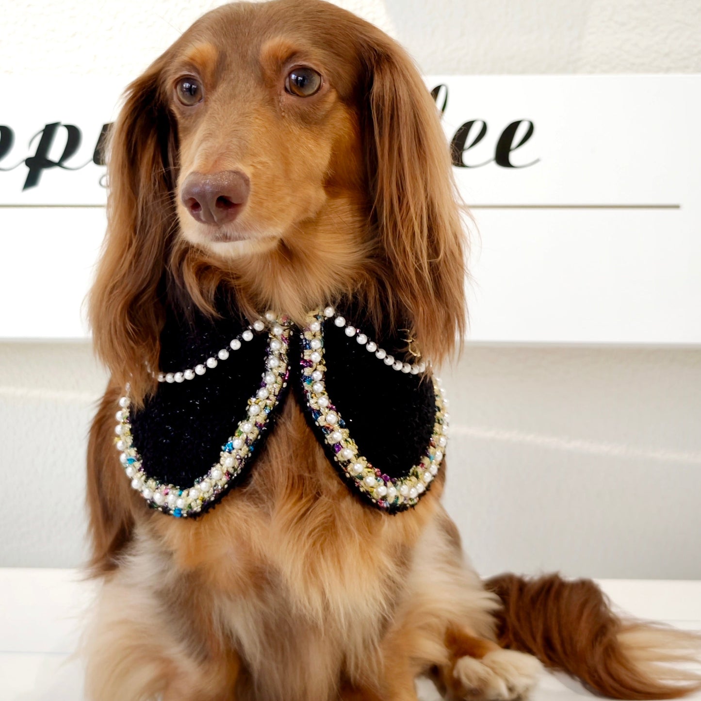 Jacqueline – Black & White Pearl Dog Jacket | Chic Formal Look