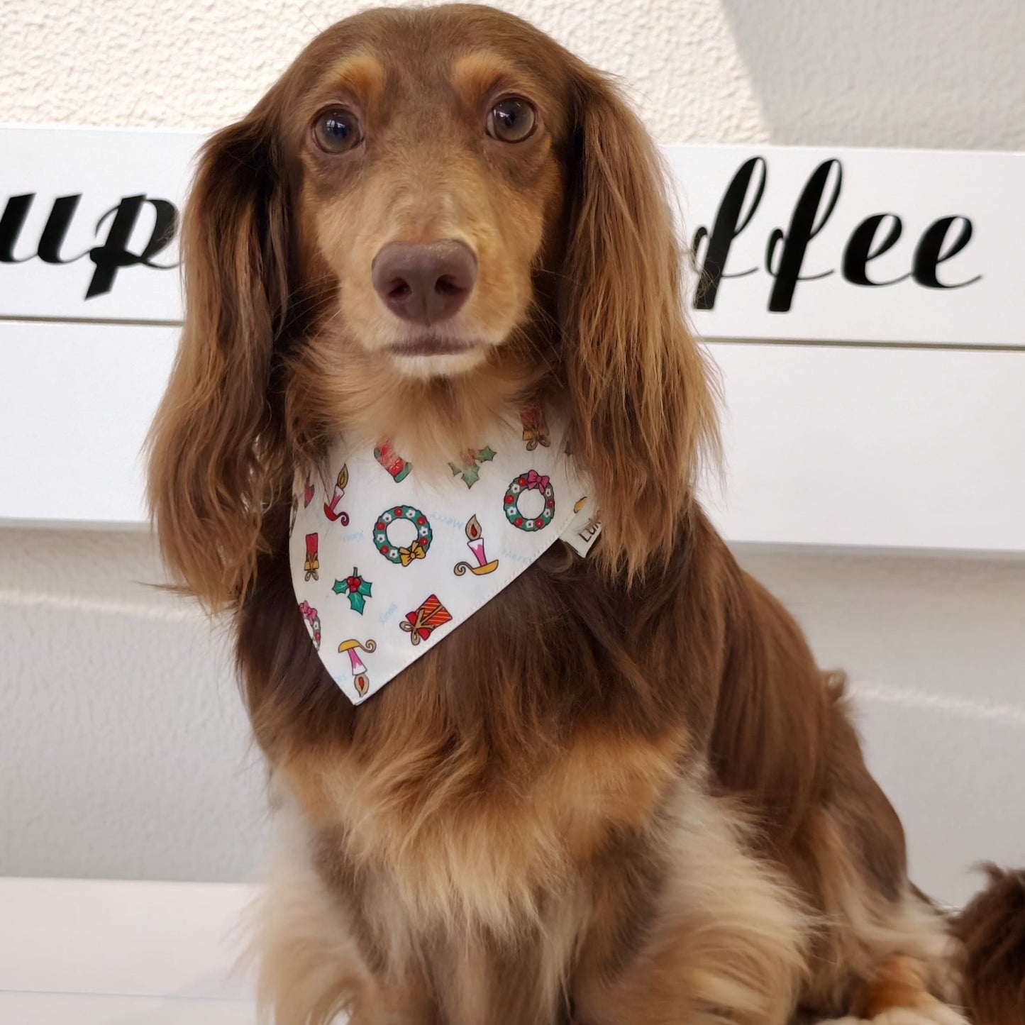 Avery – Christmas Bandana for Dogs | Holiday Style