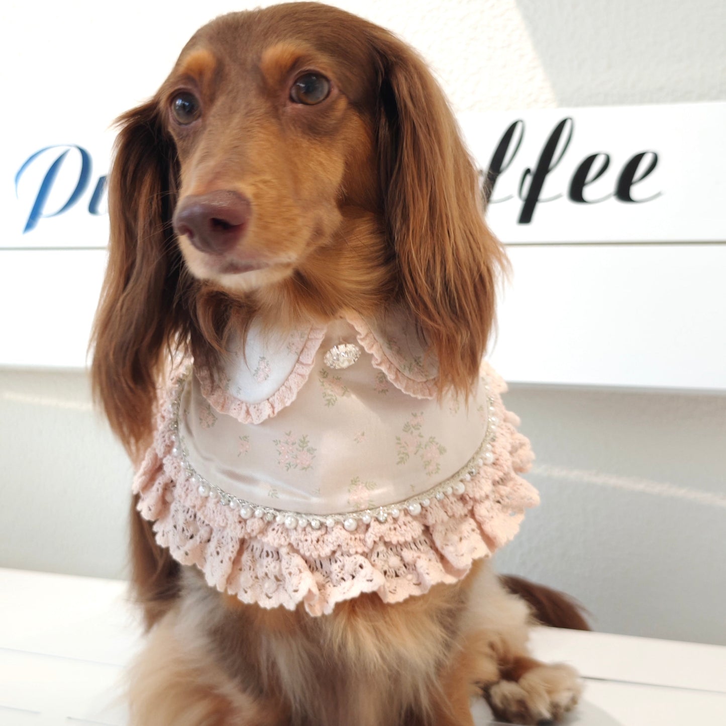 Ella –  Pink Lace Dress for Pets | Soft, Elegant, Comfortable