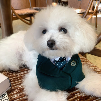 Windsor – Burgundy & Green Dog Suit | Elegant Outfit