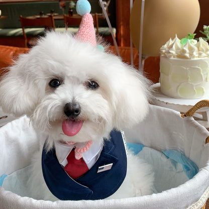 President – Red & Blue Tie Dog Suit | Formal Style