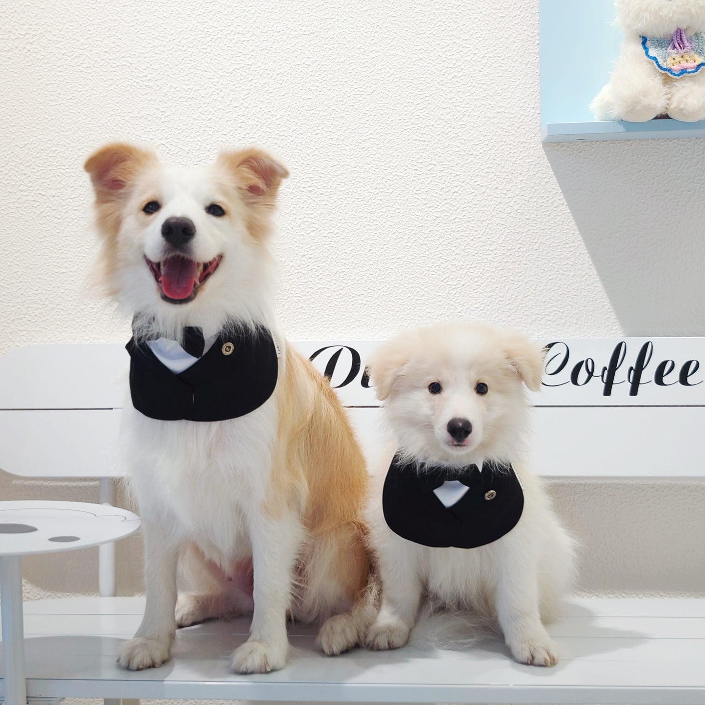 Oxford – Bowtie Suit for Dogs  | Elegant Formal Pet Outfit